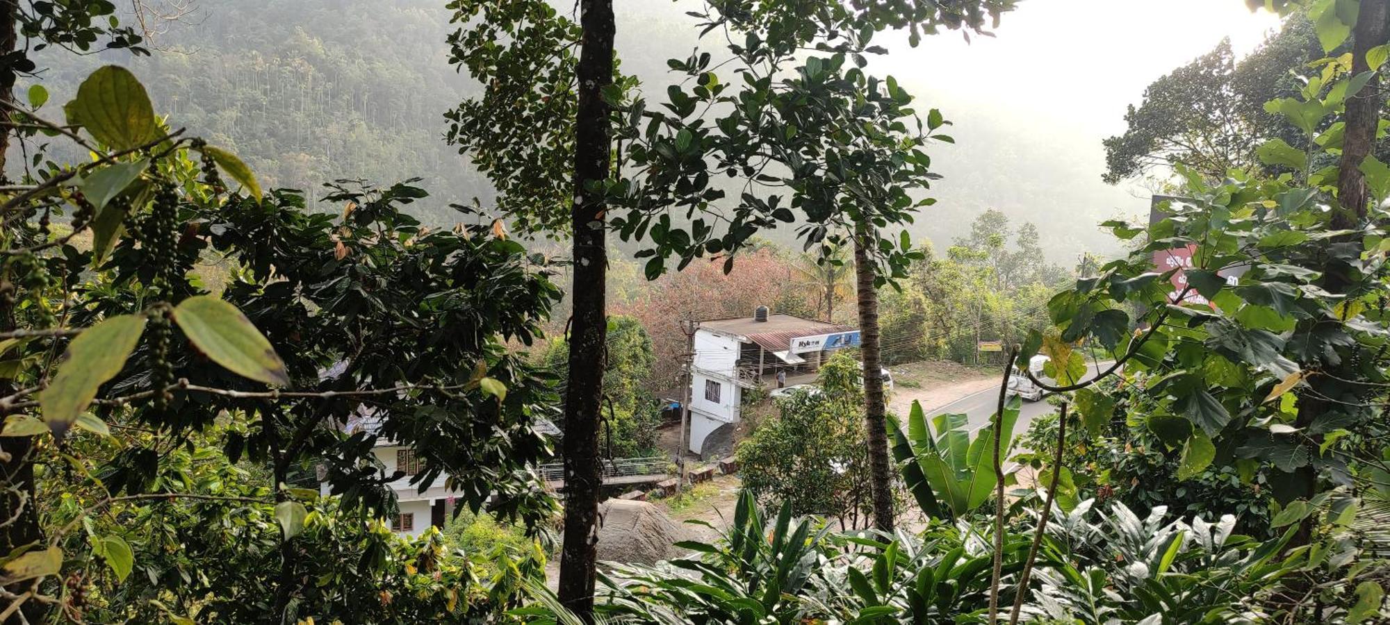 Koonamparayil Home Stay Munnar Anaviratty-Family Only Exterior photo